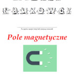 Pole magnetyczne. Materiały do zajęć naukowych dla dzieci