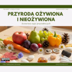 Scenariusz zajęć przyrodniczych Przyroda ożywiona i nieożywiona